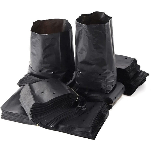 Black nursery bags stacked with standing samples